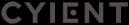 Company Logo 11